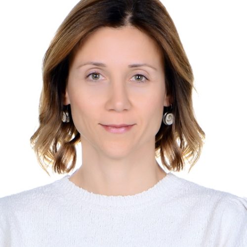 CMW 2023 Speaker: Guzide Ozcan Bacimer Bio Picture