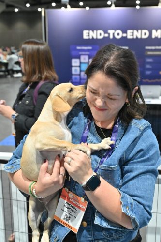 Puppy-Love-Lounge-1